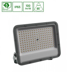 NOCTIS MAX 2 FLOODLIGHT 100W CW