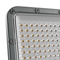 Spectrum LED NOCTIS MAX 2 FLOODLIGHT 100W CW - Solución de iluminación exterior potente