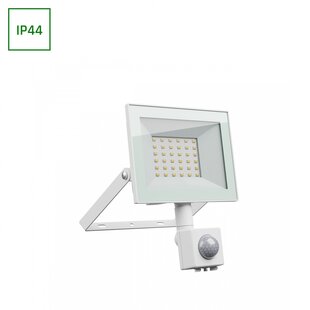 NOCTIS LUX 4 FLOODLIGHT 30W CW 230V IP44