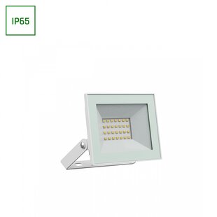 NOCTIS LUX 4 FLOODLIGHT 20W WW 230V IP65