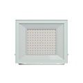 Spectrum LED NOCTIS LUX 4 FLOODLIGHT 100W NW 230V IP65 - Iluminación perfecta para espacios exteriores