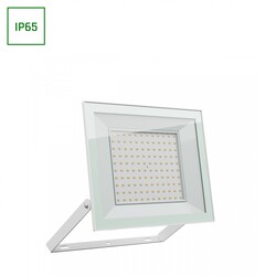 NOCTIS LUX 4 FLOODLIGHT 100W WW 230V IP65