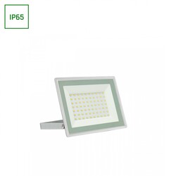 NOCTIS LUX 3 FLOODLIGHT 50W WW 230V IP65