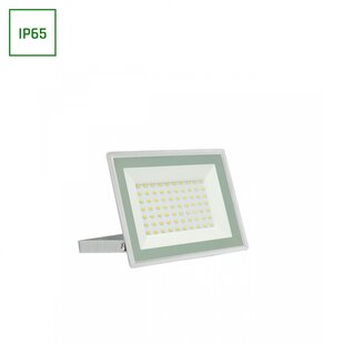 NOCTIS LUX 3 FLOODLIGHT 50W CW 230V IP65