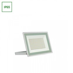 NOCTIS LUX 3 FLOODLIGHT 100W WW 230V IP65