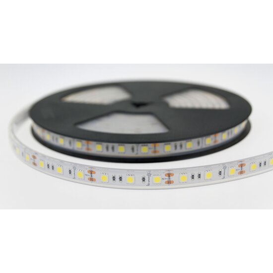 Spectrum LED LED STRIP 48W 5050 60LED CW 1M (ROLL 5M) - Schaffen Sie stimmungsvolles Licht in jedem Raum