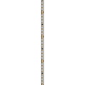 Spectrum LED LED STRIP 2835 24V 128LED 10W/m 1200lm/m WW 8mm IP20 5YR 5m roll - Schaffen Sie die perfekte Atmosphäre mit warmem weißen Licht