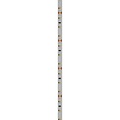 Spectrum LED LED STRIP 2835 12V 60LED 4,8W/m 336lm/m WW 8mm IP20 5YR 5m roll - Schaffen Sie die perfekte Atmosphäre mit warmem weißen Licht