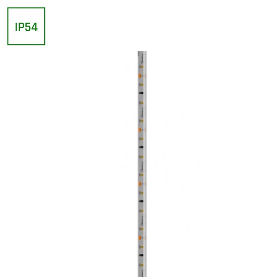 Spectrum LED LED STRIP 2835 12V 60LED 4,8W/m 336lm/m NW 8mm IP54 2YR 20m roll - Perfekte Beleuchtung für jeden Raum