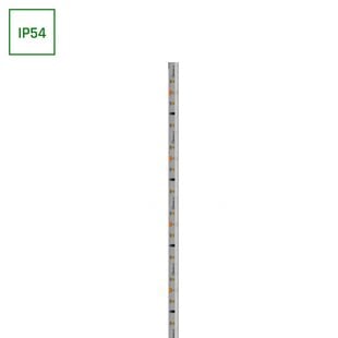 LED STRIP 2835 12V 60LED 4.8W/m 336lm/m CW 8mm IP54 2YR 20m roll