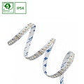 Spectrum LED LED STRIP 20W/5M 3535/2216 24V RGBW CCT - Schaffen Sie die perfekte Atmosphäre mit vielseitiger Beleuchtung