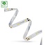 Spectrum LED LED STRIP 20W 3528 60LED CW 1M (ROLL 5M) - Ideal für stimmungsvolle Beleuchtung