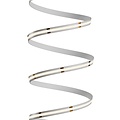 Spectrum LED LED STRIP  COB 24V 480LED 10W/m 780lm/m CW 8mm IP20 5YR 5m roll - Ideale Beleuchtungslösung für jeden Raum