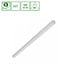 Spectrum LED ALLDAY BASIC 40W 3CCT - Perfect lighting for any space