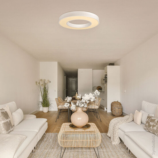 Optonica LED Ceiling Light Round Shape White Body - Crea una atmósfera cálida en tu espacio