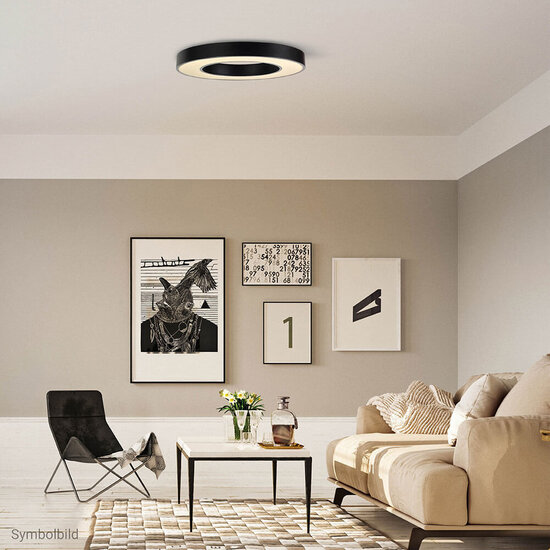 Optonica LED Ceiling Light Round Shape Black Body - Créez une atmosphère chaleureuse dans votre espace