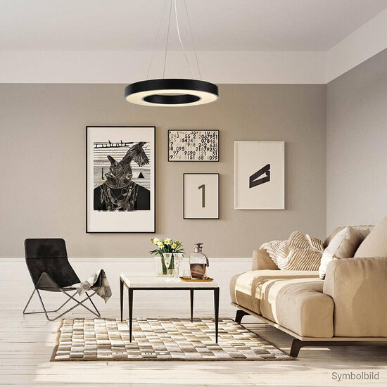 Optonica LED Ceiling Light Round Shape Black Body - Créez une atmosphère chaleureuse dans votre espace