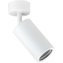 Spotlight Fixture - Single Head