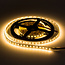 Optonica LED Strip 2835 24V Non-Waterproof Professional Edition - Crea la atmósfera perfecta con luz blanca cálida