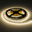 Optonica LED Strip 2835 24V Non-Waterproof Professional Edition - Iluminación ideal para cualquier espacio