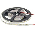Optonica LED Strip 2835 24V Non-Waterproof Professional Edition - Iluminación ideal para cualquier espacio