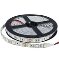 Optonica LED Strip 5050 Non-Waterproof Professional Edition - Ideal para iluminación ambiental