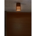 Nordlux Sidara | Ceiling light | Seaside brown metallic - Modern minimalisme voor buiten