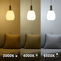 Nordlux E27 - A60 - CCT Switch - 3000/4000/6500 Kelvin - 900 Lumen - Creëer de perfecte sfeer met deze veelzijdige lamp