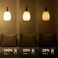 Nordlux E14 - G45 - Step-dim - 2700 Kelvin - 470 Lumen - Creëer de perfecte sfeer met dimbare verlichting