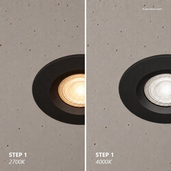 Tiaki - Downlight - Black