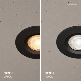 Tiaki - Downlight - Black