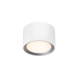 Landon 8 - Surface downlight - White