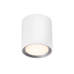 Landon 14 - Surface downlight - White