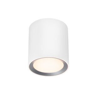 Landon 14 - Downlight de superficie - Blanco