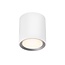 Nordlux Landon 14 - Downlight de surface - Parfait pour un éclairage d'ambiance