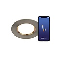 Nordlux Dorado Smart - Downlight - Brushed Nickel - Ideal for outdoor and bathroom use