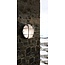 Nordlux Polperro - Aplique de Pared - Perfecto para Iluminación Exterior