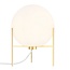Nordlux Alton 20 - Lámpara de mesa - Crea un ambiente cálido con esta lámpara elegante