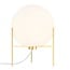 Nordlux Alton 20 - Lampe de table - Créez une atmosphère chaleureuse avec cette lampe élégante