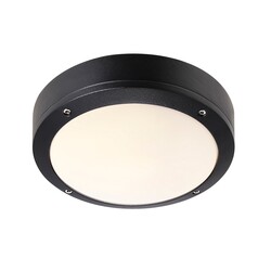 Desi 22 - Plafondlamp - Zwart