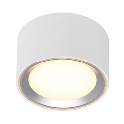 Fallon - Surface downlight - White/Steel