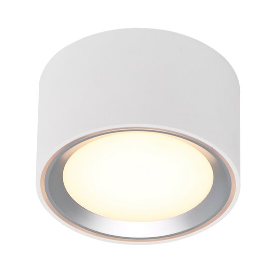 Nordlux Fallon - Surface downlight - White/Steel - Créez l'atmosphère parfaite avec un éclairage dimmable