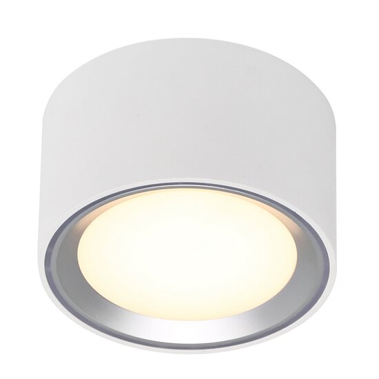Nordlux Fallon - Surface downlight - White/Steel - Schaffen Sie die perfekte Atmosphäre mit dimmbarem Licht