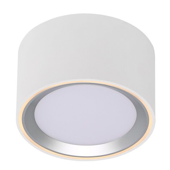 Nordlux Fallon - Surface downlight - White/Steel - Schaffen Sie die perfekte Atmosphäre mit dimmbarem Licht