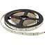 Optonica LED Strip 5054 24V Non-Waterproof - Ideal lighting for any space