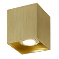 Fantasia BABAR vierkant plafondlicht geborsteld goud, 1x GU10 max 50W (excl. lamp), IP20