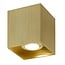 Fantasia BABAR quadratische Deckenleuchte, gebürstetes Gold, 1x GU10 max. 50W (ohne Leuchtmittel), IP20