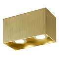 Fantasia Babar plafondlamp, vierkant, geborsteld goud, 2x GU10 (excl., max 50W), 165 x 82,5 x 95 mm, IP20