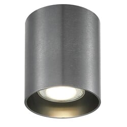 Babar plafondlamp geborsteld staal, rond, GU10 (excl. lamp)