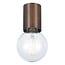 Fantasia BABU plafondlamp in geborsteld brons met E27-fitting (excl. lichtbron), Ø56 x H90 mm, IP20